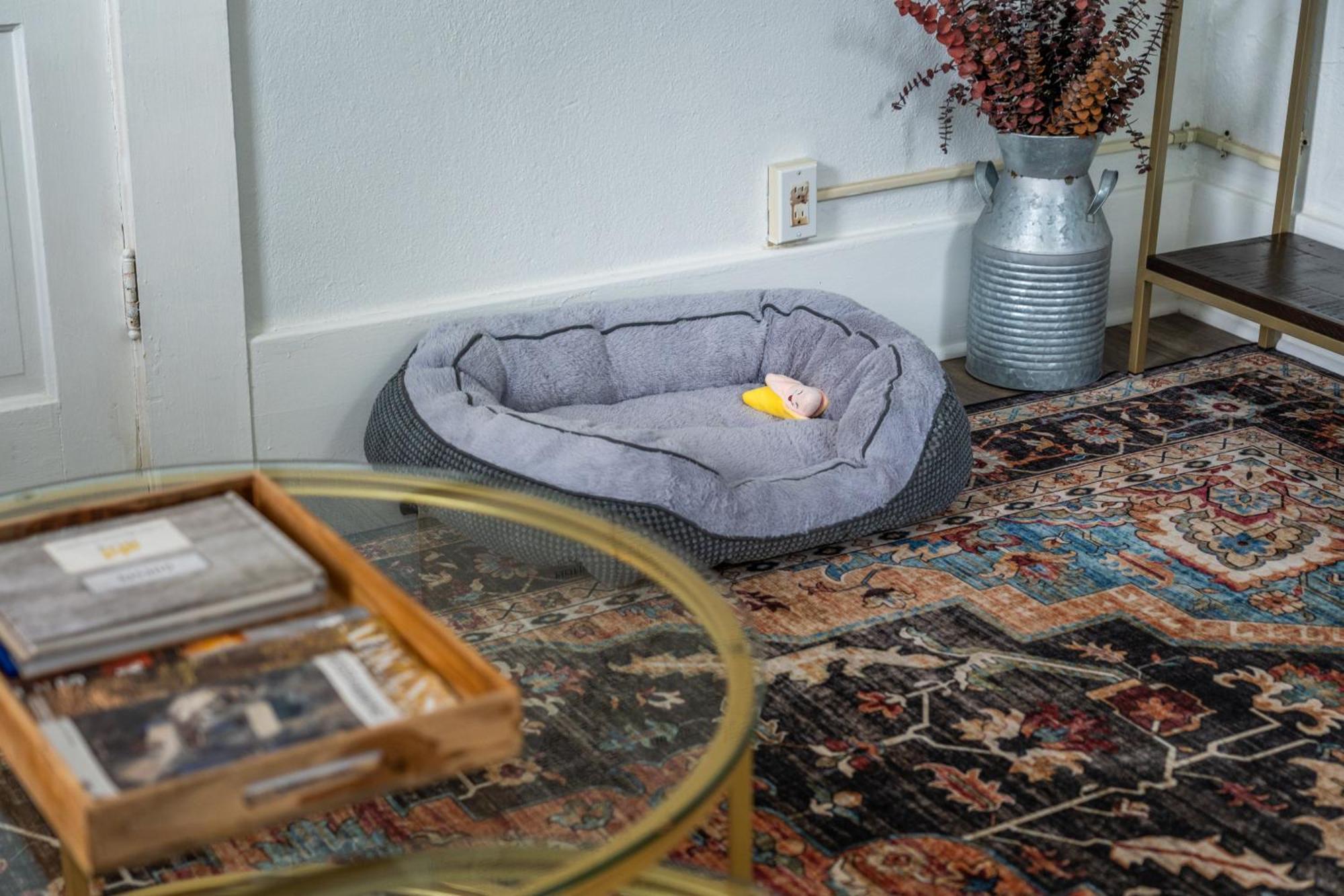 Cedar Blossom Bungalow Is A Cozy Getaway With A 5 Minute Walk To Downtown! ฮอตสปริงส์ ภายนอก รูปภาพ